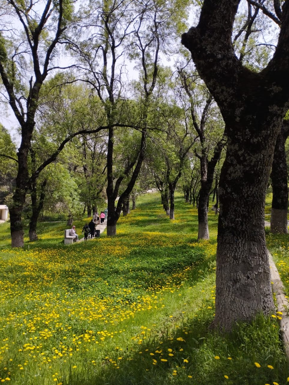 Ateliers et activités para-universitaires
